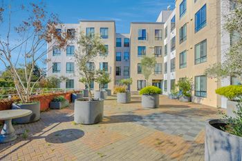 Courtyard garden space